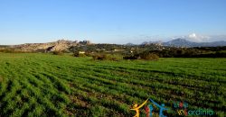 12 Ha Buildable Land For Sale Sardinia ref. Liccia Barria