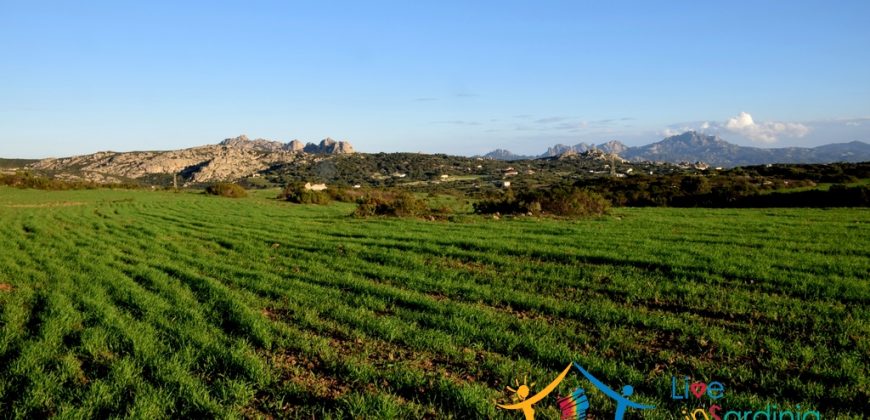 12 Ha Buildable Land For Sale Sardinia ref. Liccia Barria