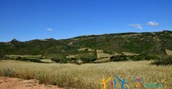 12 Ha Buildable Land For Sale Sardinia ref. Liccia Barria