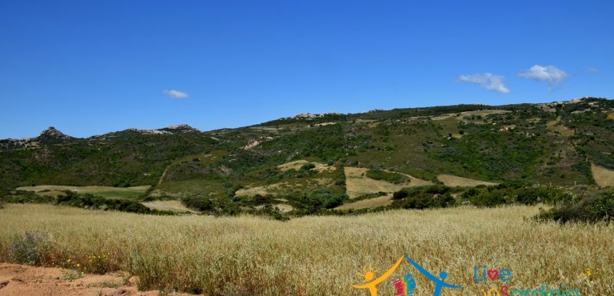 12 Ha Buildable Land For Sale Sardinia ref. Liccia Barria