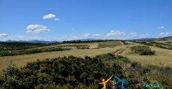 12 Ha Buildable Land For Sale Sardinia ref. Liccia Barria