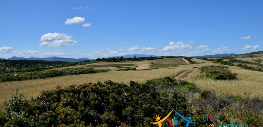 12 Ha Buildable Land For Sale Sardinia ref. Liccia Barria