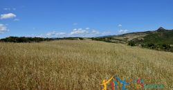 12 Ha Buildable Land For Sale Sardinia ref. Liccia Barria