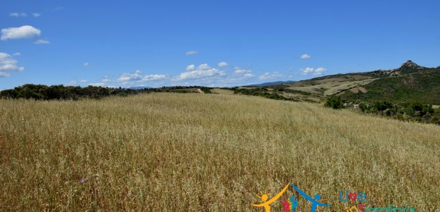 12 Ha Buildable Land For Sale Sardinia ref. Liccia Barria