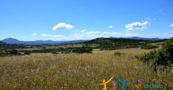 12 Ha Buildable Land For Sale Sardinia ref. Liccia Barria