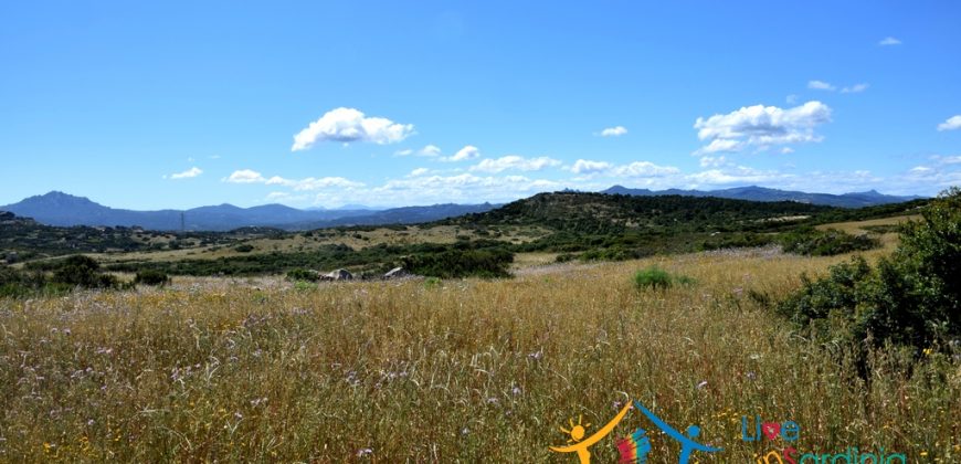 12 Ha Buildable Land For Sale Sardinia ref. Liccia Barria