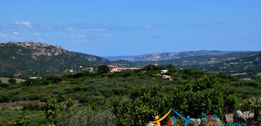 12 Ha Buildable Land For Sale Sardinia ref. Liccia Barria