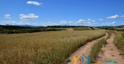 12 Ha Buildable Land For Sale Sardinia ref. Liccia Barria