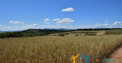 12 Ha Buildable Land For Sale Sardinia ref. Liccia Barria