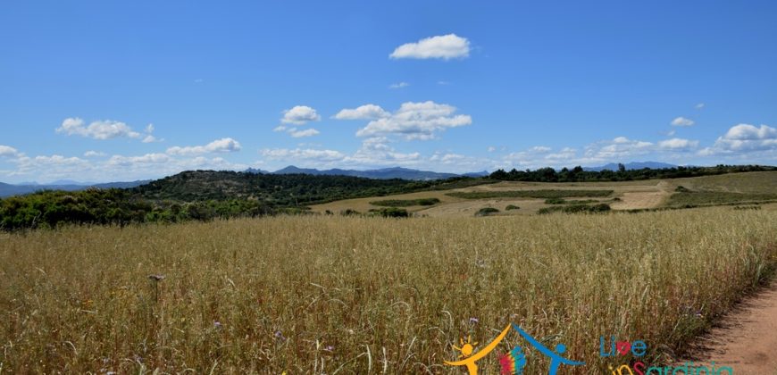 12 Ha Buildable Land For Sale Sardinia ref. Liccia Barria