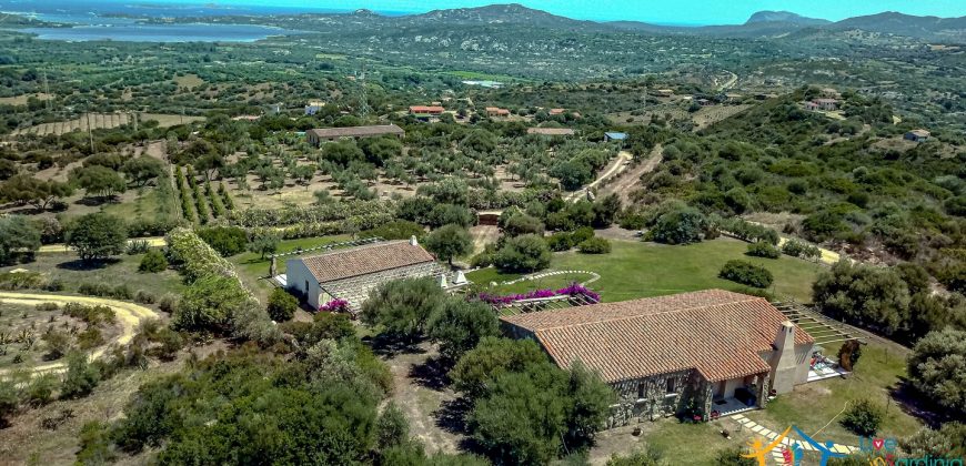 Fabulous Home  For Sale In Sale San Pantaleo Sardinia Ref. Daphe