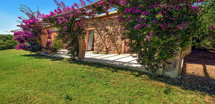 Fabulous Home  For Sale In Sale San Pantaleo Sardinia Ref. Daphe