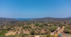 Fabulous Home  For Sale In Sale San Pantaleo Sardinia Ref. Daphe