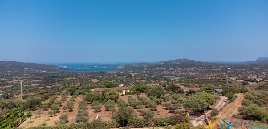 Fabulous Home  For Sale In Sale San Pantaleo Sardinia Ref. Daphe