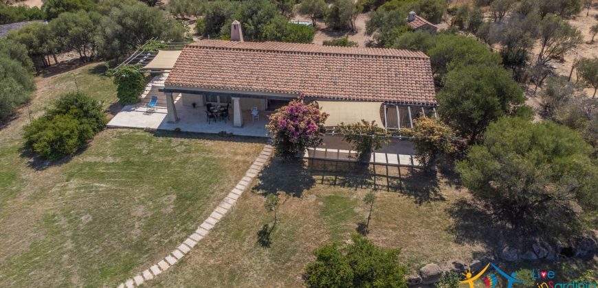 Fabulous Home  For Sale In Sale San Pantaleo Sardinia Ref. Daphe