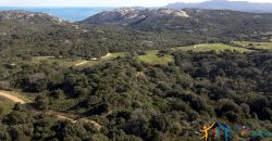 7 Ha Buildable Land For Sale Sardinia ref. Cuncosu