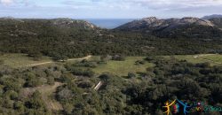 7 Ha Buildable Land For Sale Sardinia ref. Cuncosu