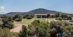 Fabulous Home  For Sale In Sale San Pantaleo Sardinia Ref. Daphe