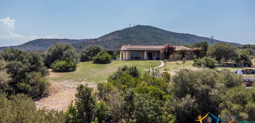 Fabulous Home  For Sale In Sale San Pantaleo Sardinia Ref. Daphe