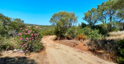 Country Home For Sale Arzachena Near San Pantaleo ref Lu Rotu