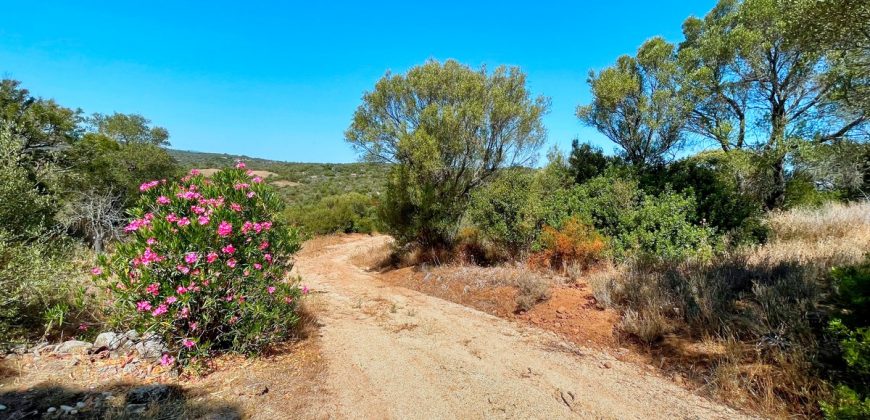 Country Home For Sale Arzachena Near San Pantaleo ref Lu Rotu