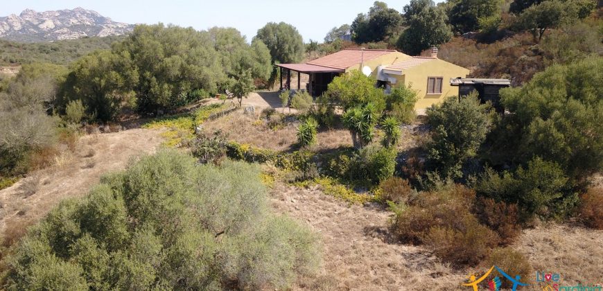 Country Home For Sale Arzachena Near San Pantaleo ref Lu Rotu