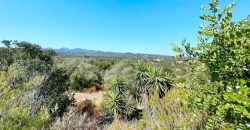 Country Home For Sale Arzachena Near San Pantaleo ref Lu Rotu