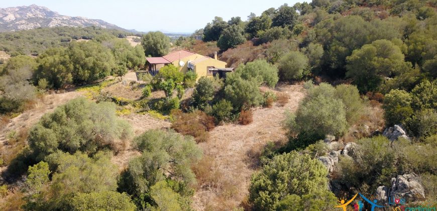 Country Home For Sale Arzachena Near San Pantaleo ref Lu Rotu