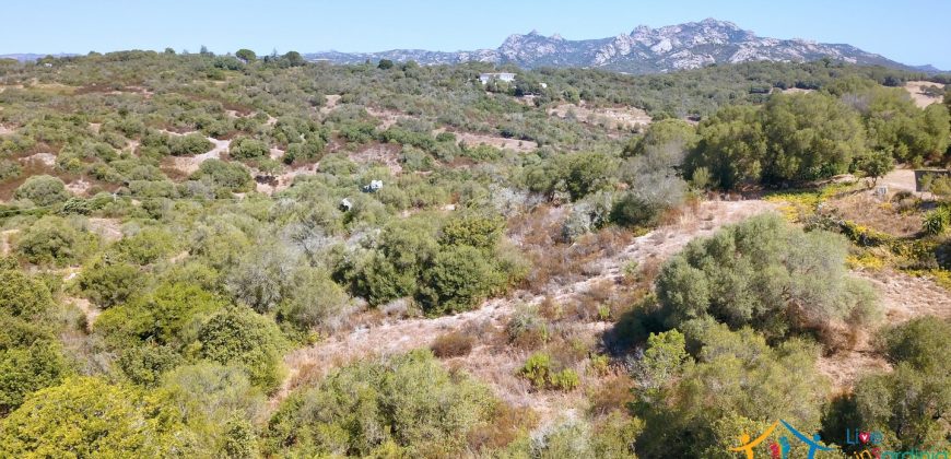 Country Home For Sale Arzachena Near San Pantaleo ref Lu Rotu