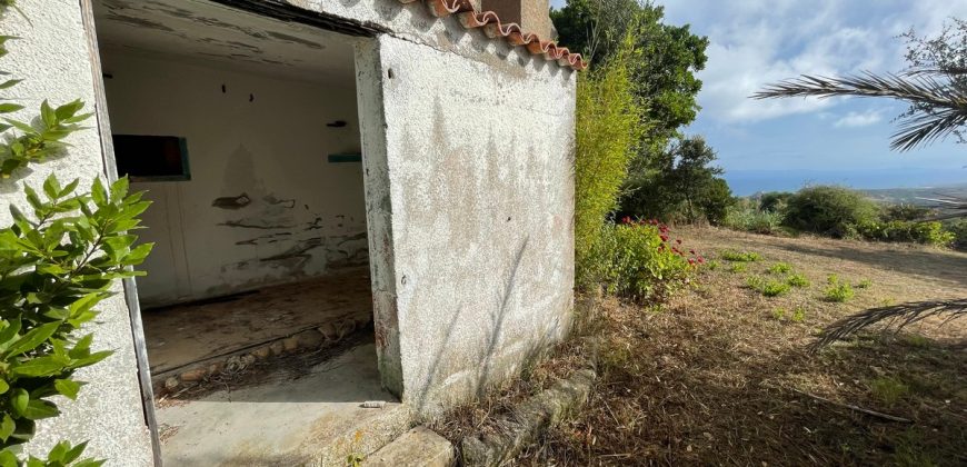 Country Home For Sale Aglientu ref. Montiruiu