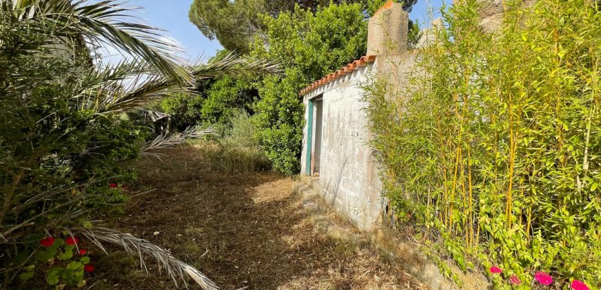 Country Home For Sale Aglientu ref. Montiruiu