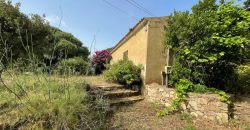 Country Home For Sale Aglientu ref. Montiruiu