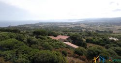 Country Home For Sale Aglientu ref. Montiruiu