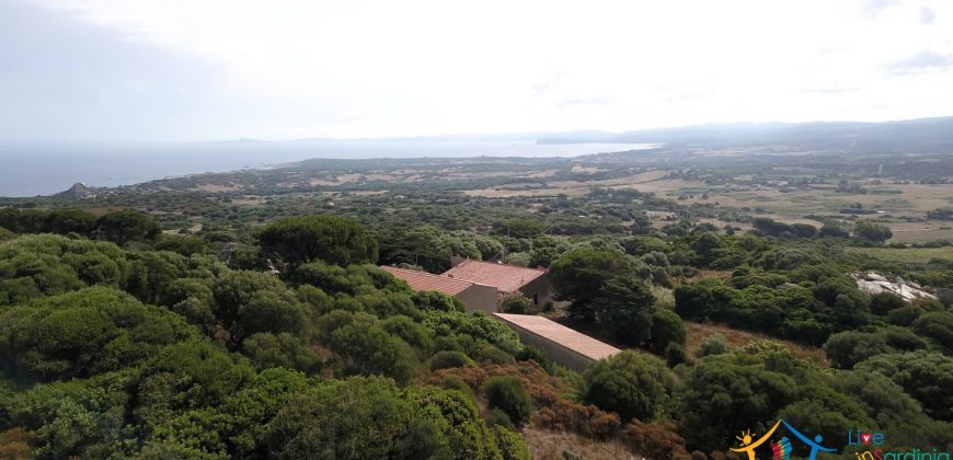 Country Home For Sale Aglientu ref. Montiruiu