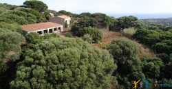 Country Home For Sale Aglientu ref. Montiruiu