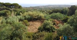 Country Home For Sale Aglientu ref. Montiruiu