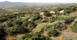 Country Home For Sale Aglientu ref. Montiruiu