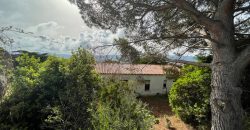 Country Home For Sale Aglientu ref. Montiruiu