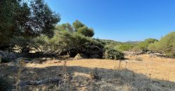 Wonderful Stazzu For Sale In Gallura ref.Cacabrocciu