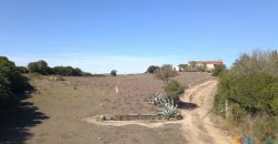 Wonderful Stazzu For Sale In Gallura ref.Cacabrocciu