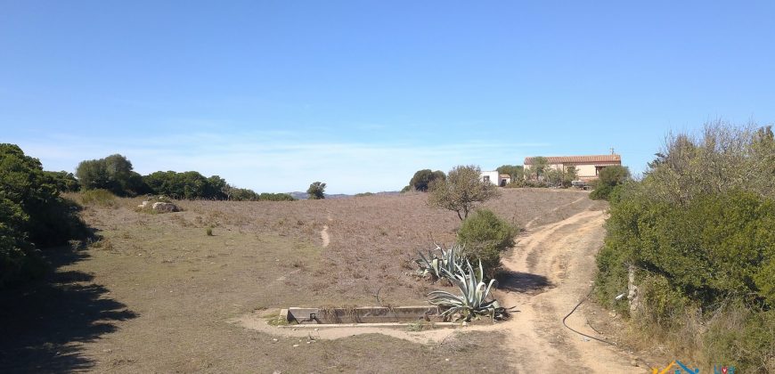 Wonderful Stazzu For Sale In Gallura ref.Cacabrocciu