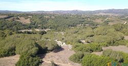 Wonderful Stazzu For Sale In Gallura ref.Cacabrocciu