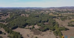 Wonderful Stazzu For Sale In Gallura ref.Cacabrocciu