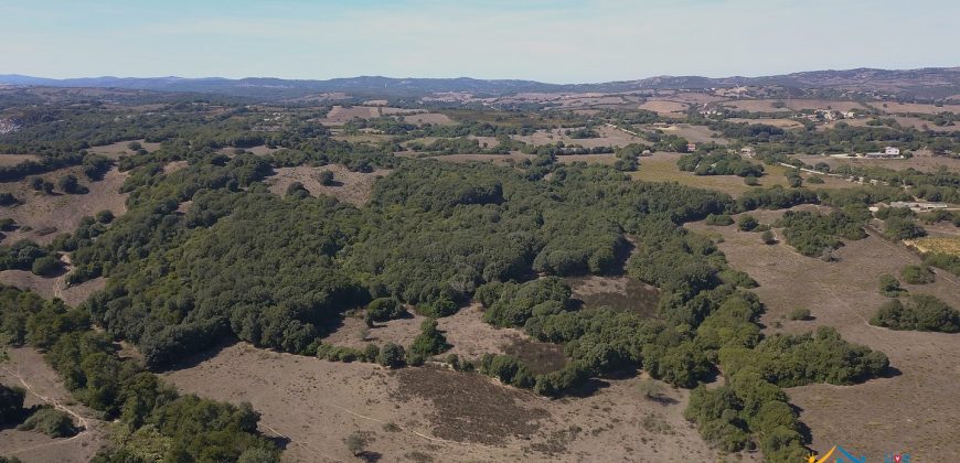 Wonderful Stazzu For Sale In Gallura ref.Cacabrocciu