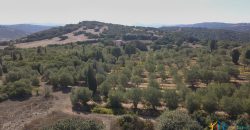 Wonderful Stazzu For Sale In Gallura ref.Cacabrocciu