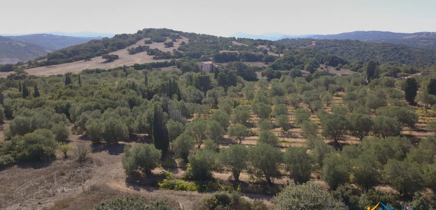 Wonderful Stazzu For Sale In Gallura ref.Cacabrocciu