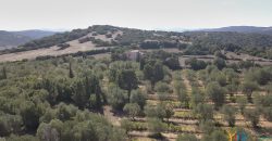Wonderful Stazzu For Sale In Gallura ref.Cacabrocciu