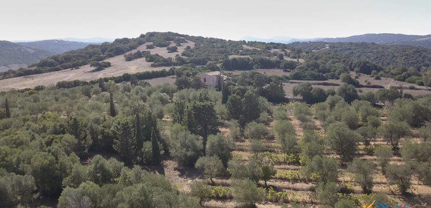 Wonderful Stazzu For Sale In Gallura ref.Cacabrocciu