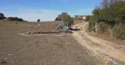 Wonderful Stazzu For Sale In Gallura ref.Cacabrocciu