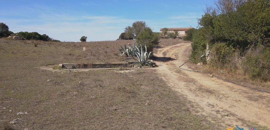 Wonderful Stazzu For Sale In Gallura ref.Cacabrocciu